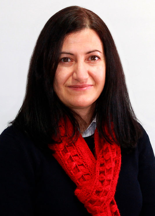 Rui Manuel Marques Botelho