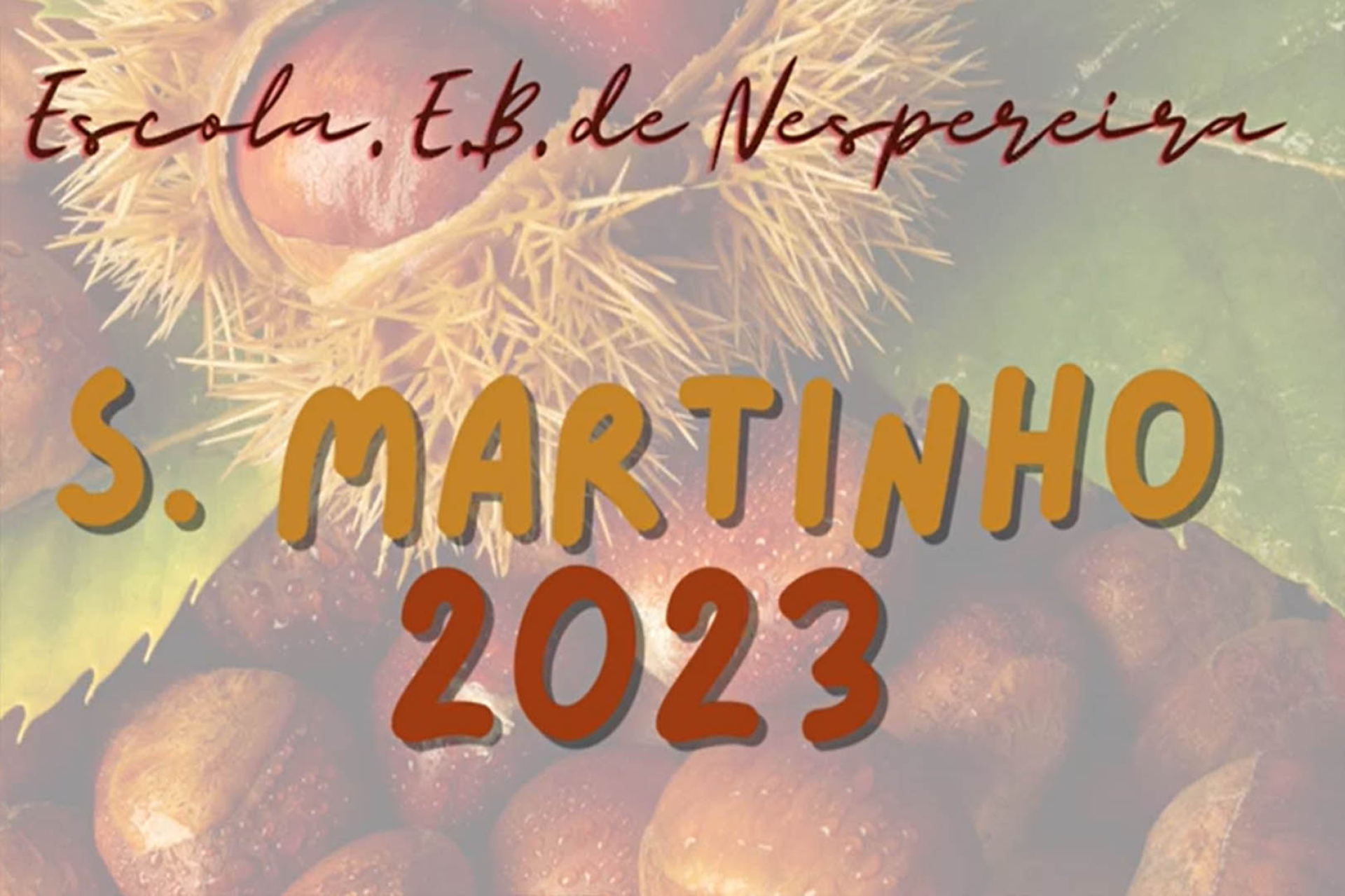 EB de Nespereira - São Martinho