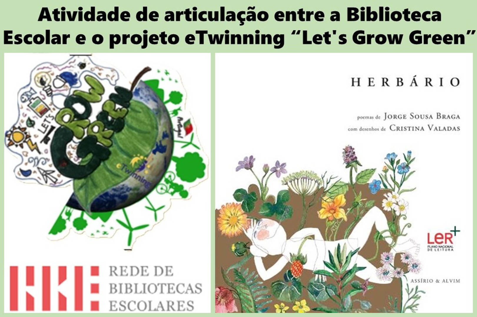 Dia Mundial do Ambiente