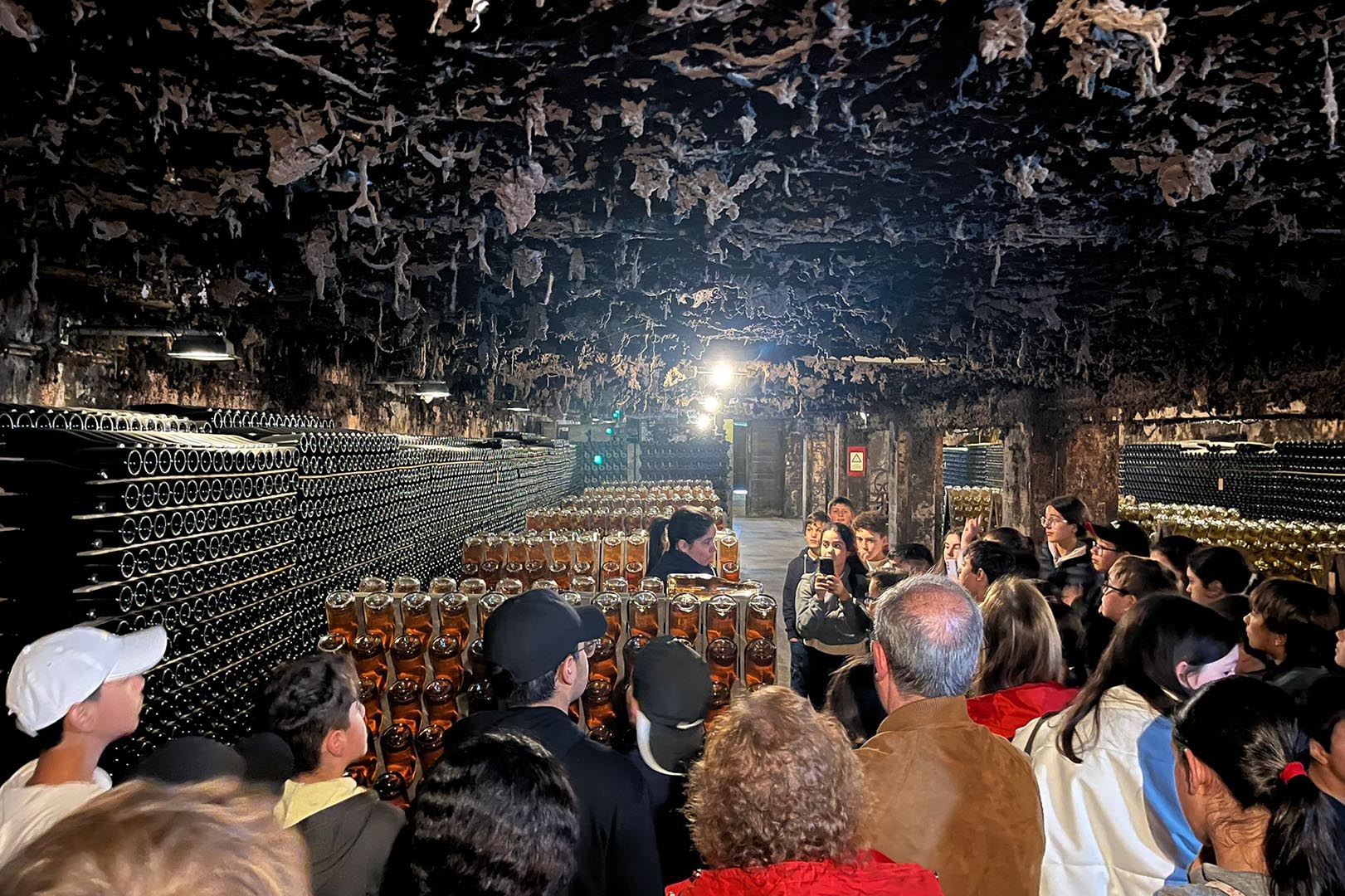 Visita de estudo – 6.º Ano