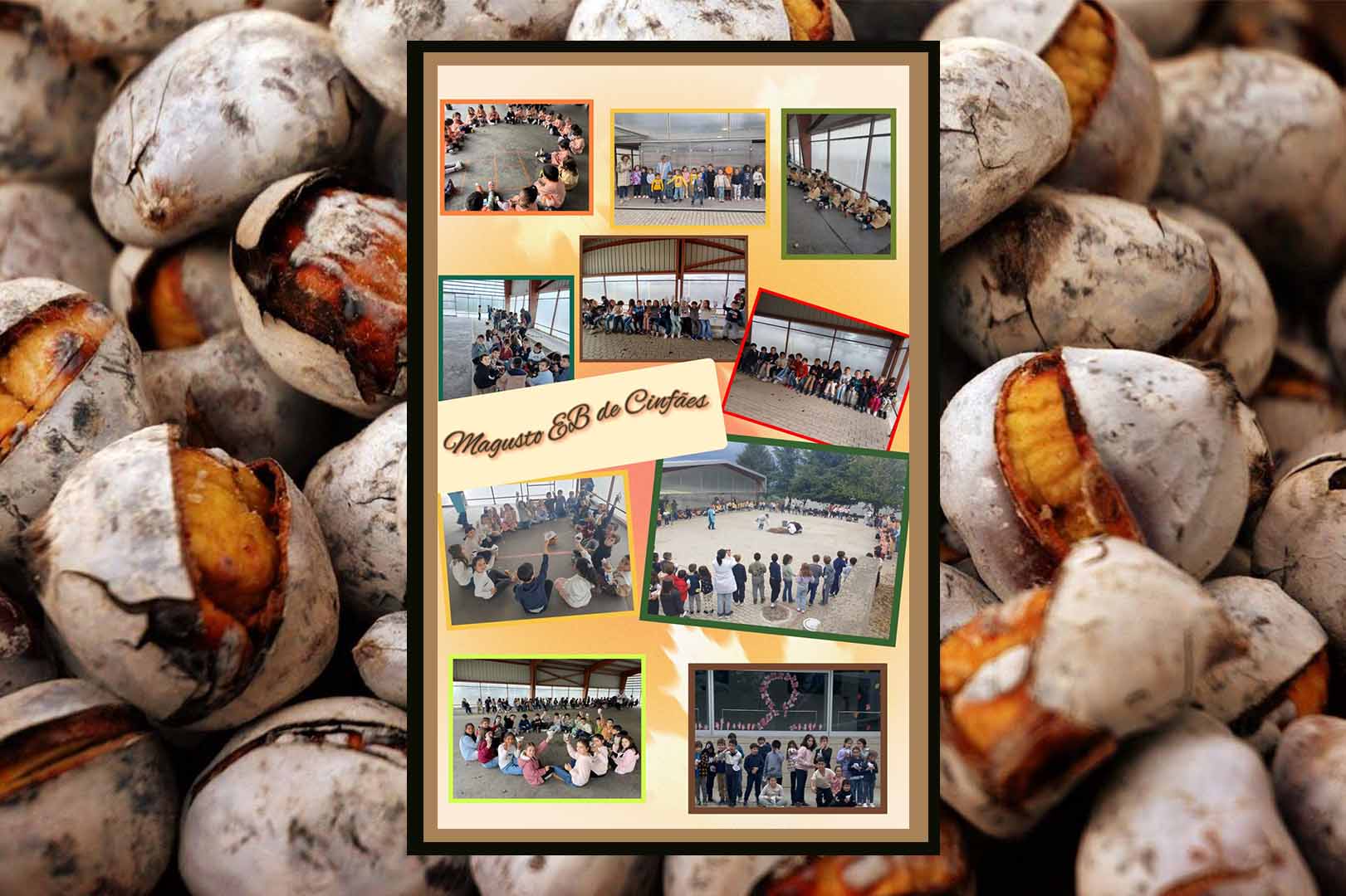 Celebração de S. Martinho na Escola Básica de Cinfães