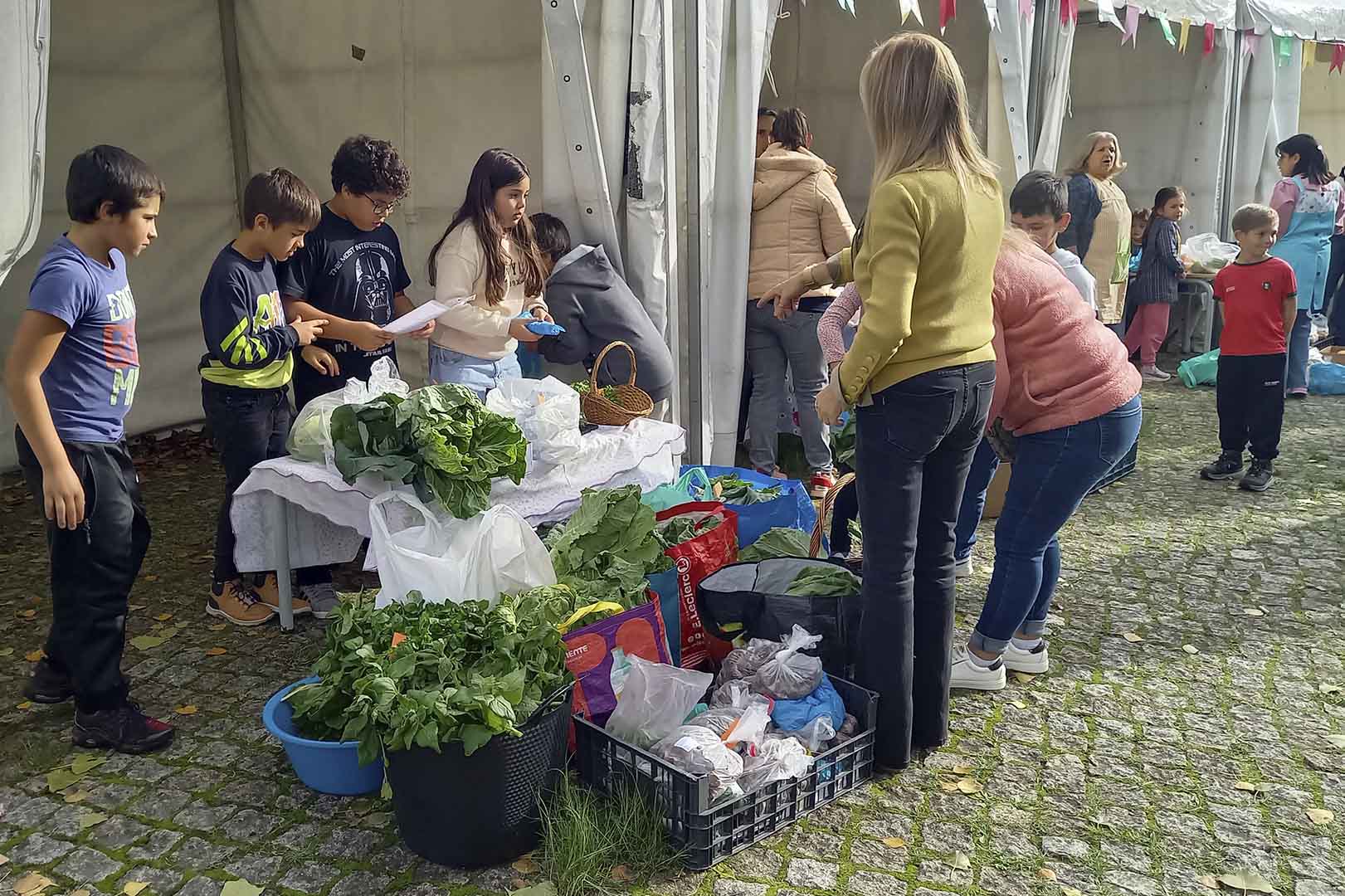 Feira de S. Martinho na escola de Oliveira do Douro