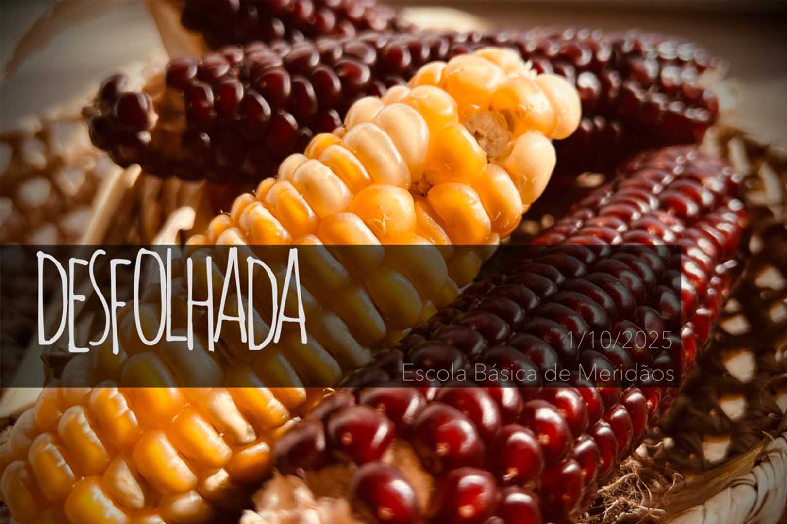 A desfolhada – Escola Básica de Meridãos