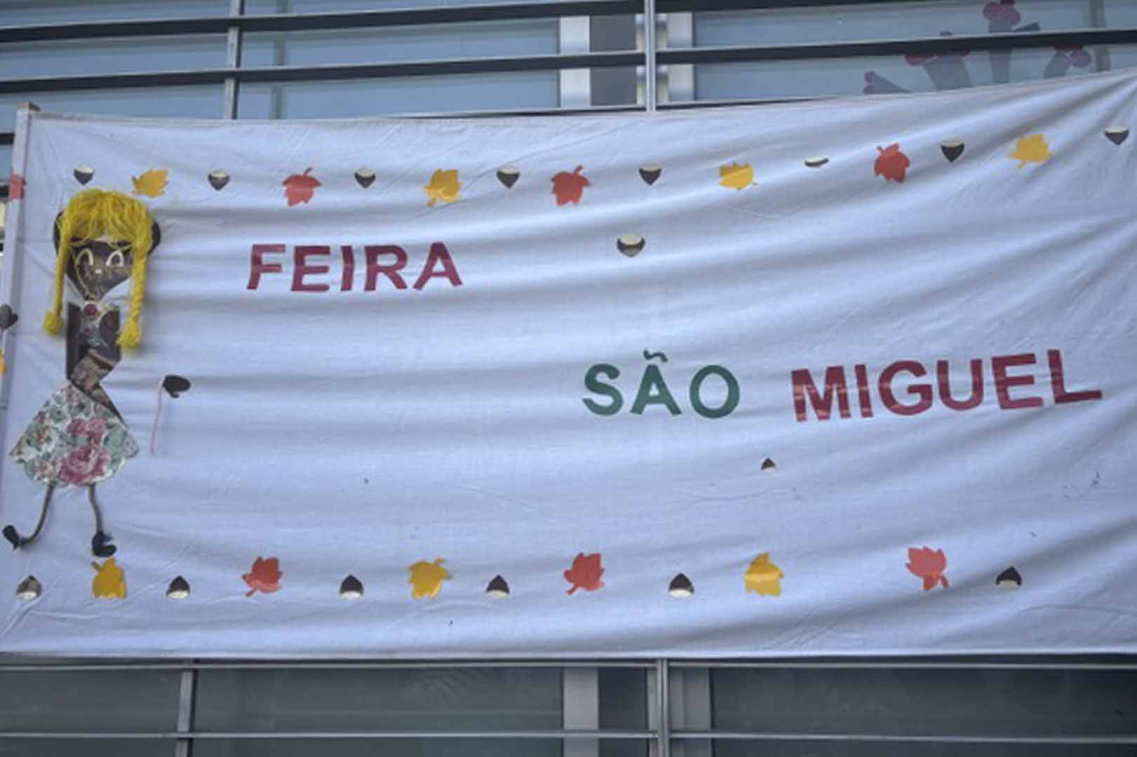 Feirinha de S. Miguel anima a Escola Básica de Cinfães