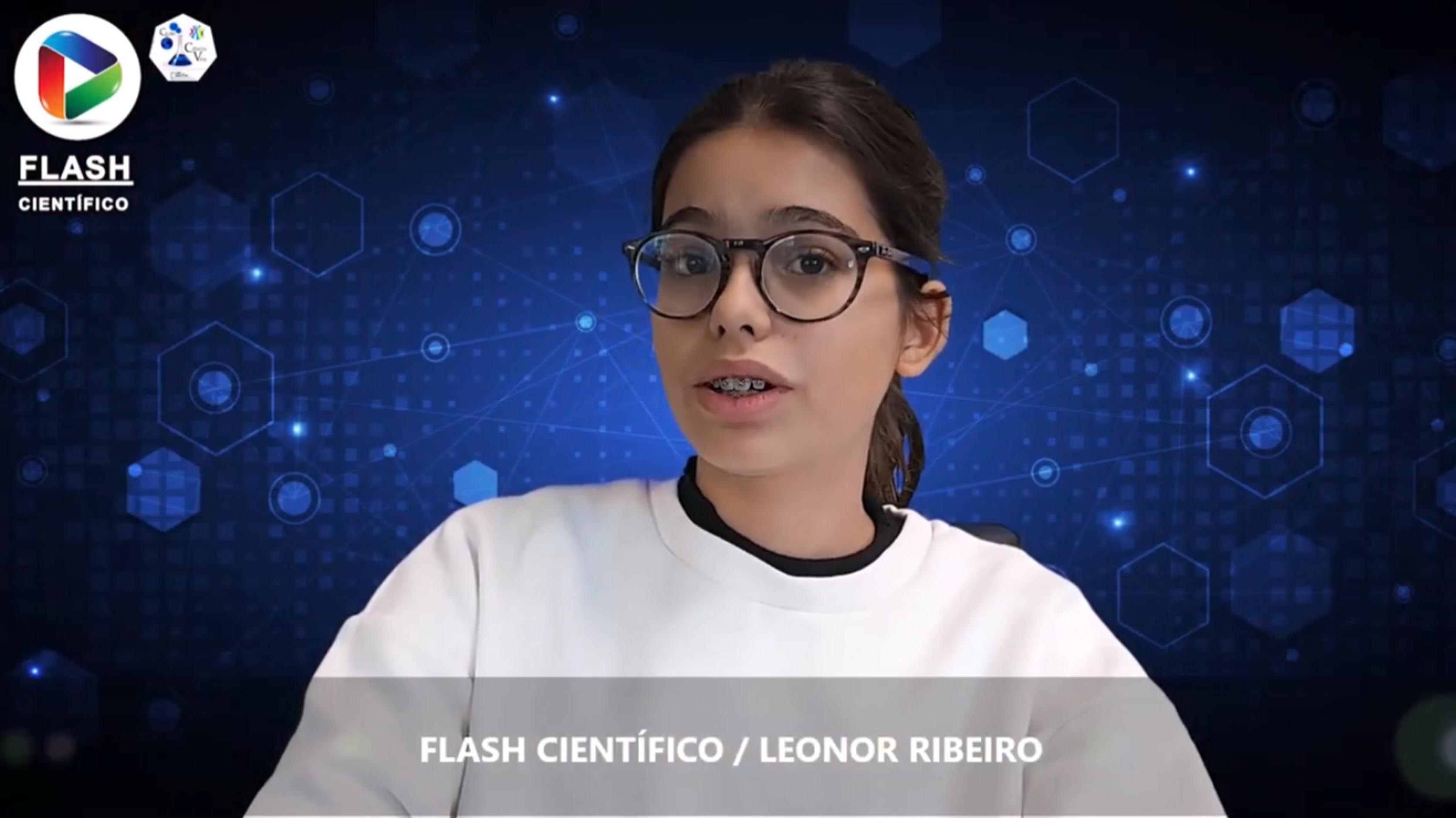 14 - Qatar 2022 aposta na acessibilidade dos estádios para pessoas com deficiência