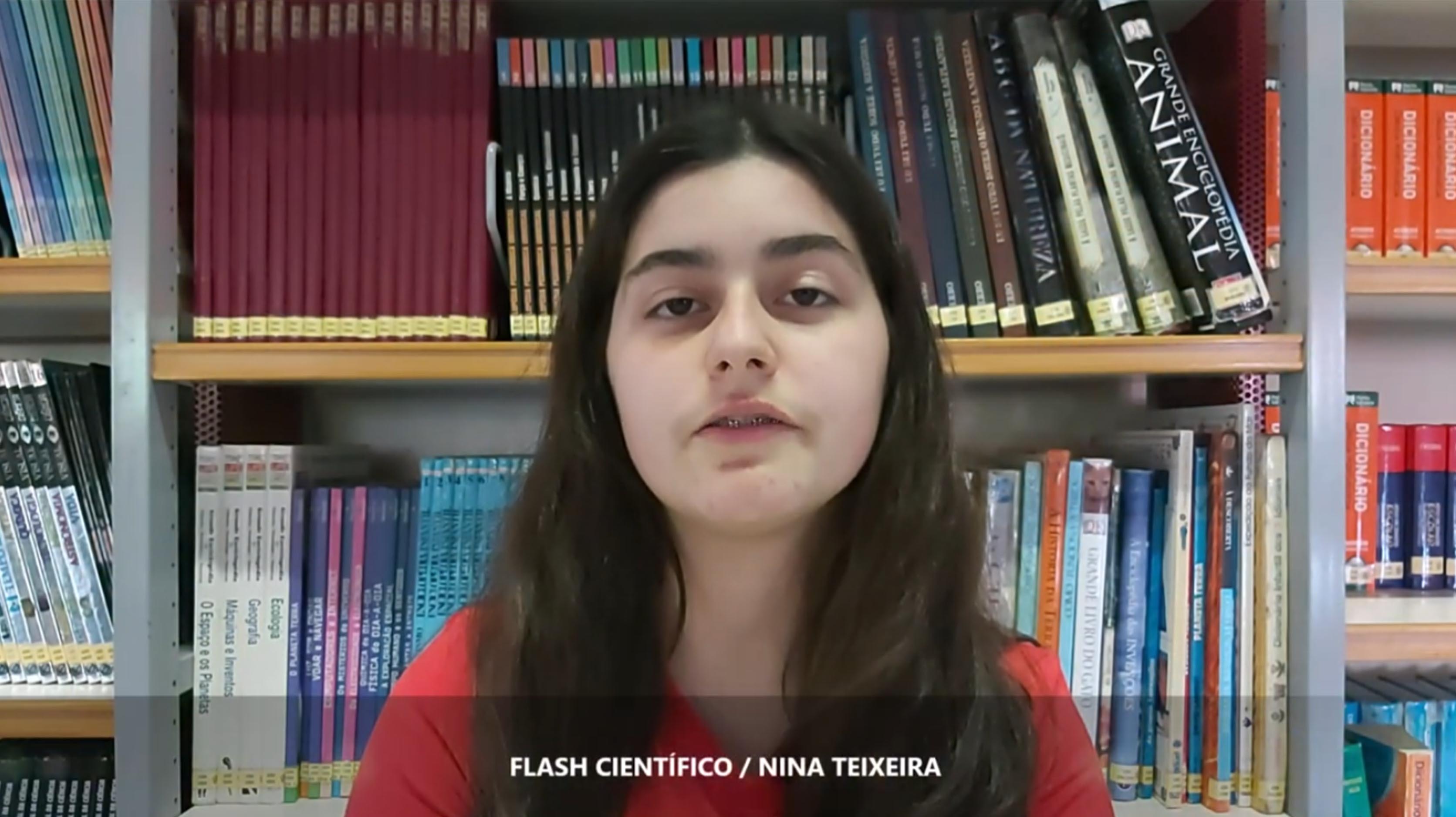 06 - Gelo da Gronelândia está a derreter