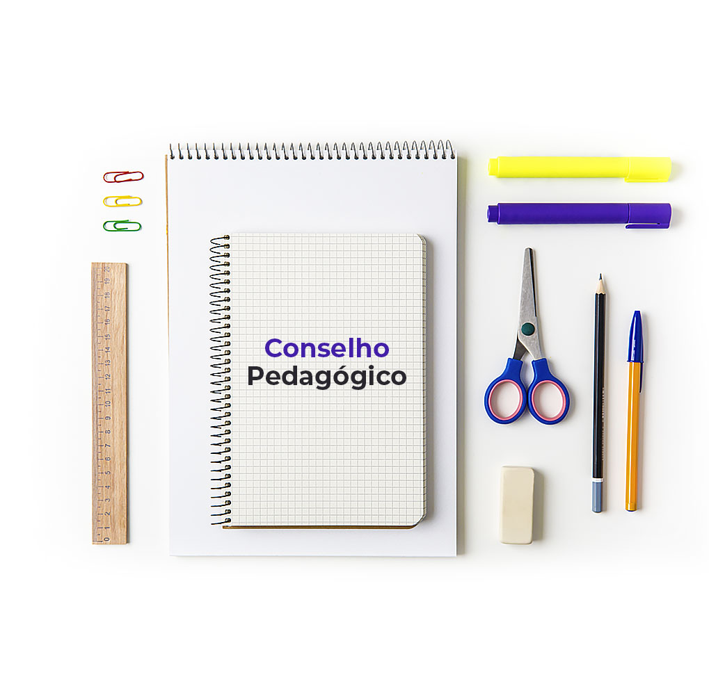  CONSELHO PEDAGÓGICO